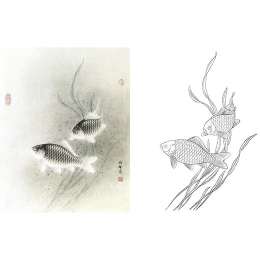 工笔花鸟白描底稿-路雨年-鲫鱼-斗方小品册页-A326 商品图0