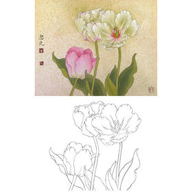 工笔花鸟白描底稿-花卉-斗方小品册页-A237