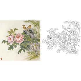 工笔花鸟白描底稿-田希丰牡丹-斗方小品册页-A283