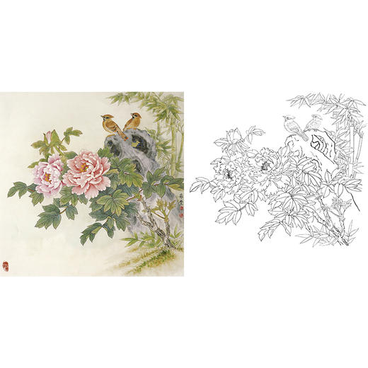工笔花鸟白描底稿-田希丰牡丹-斗方小品册页-A283 商品图0