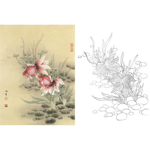 工笔花鸟白描底稿-路雨年-金鱼-斗方小品册页-A327 商品图0