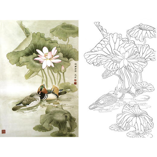 竖幅工笔花鸟白描底稿-鸳鸯-A310 商品图0