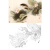 工笔花鸟白描底稿-路雨年-荷花鲤鱼-斗方小品册页-A249 商品缩略图0