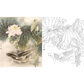 工笔花鸟白描底稿-路雨年-荷花鲤鱼-斗方小品册页-A252