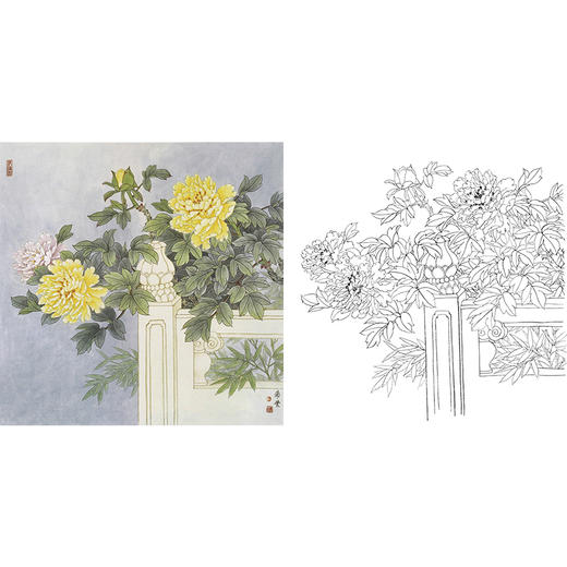工笔花鸟白描底稿-田希丰牡丹-斗方小品册页-A476 商品图0