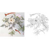 工笔花鸟白描底稿-田希丰牡丹-斗方小品册页-A480 商品缩略图0