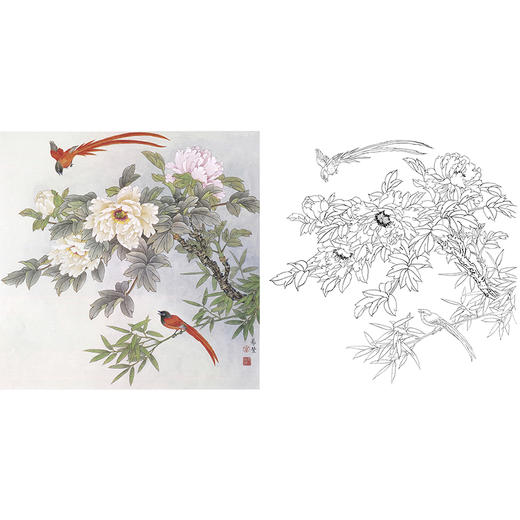 工笔花鸟白描底稿-田希丰牡丹-斗方小品册页-A480 商品图0