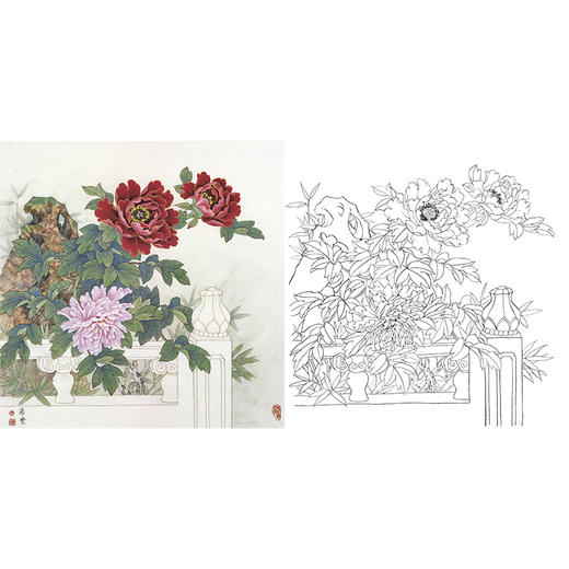 工笔花鸟白描底稿-田希丰牡丹-斗方小品册页-A478 商品图0