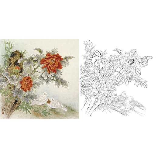 工笔花鸟白描底稿-田希丰牡丹-斗方小品册页-A489 商品图0