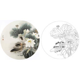 工笔花鸟白描底稿-路雨年-荷花鲤鱼小品-A423