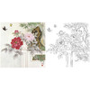 工笔花鸟白描底稿-田希丰牡丹-斗方小品册页-A479 商品缩略图0