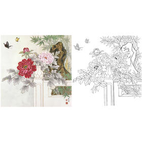 工笔花鸟白描底稿-田希丰牡丹-斗方小品册页-A479