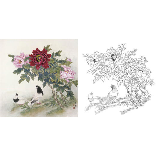 工笔花鸟白描底稿-田希丰牡丹-斗方小品册页-A487 商品图0