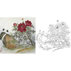 工笔花鸟白描底稿-田希丰牡丹-斗方小品册页-A485