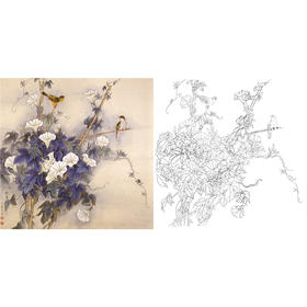 白描底稿-工笔花鸟-A482