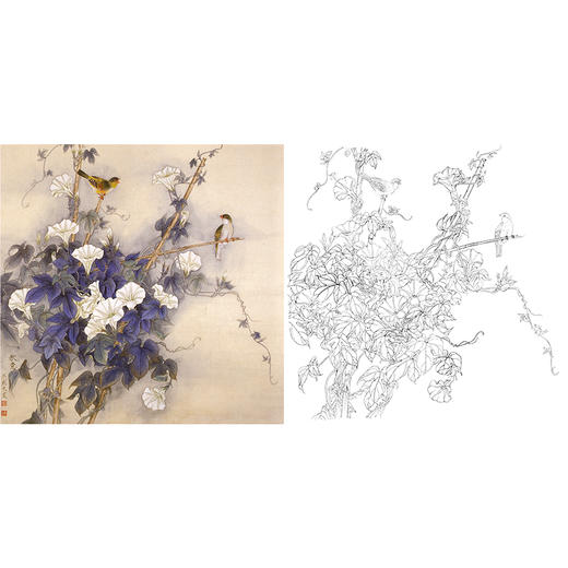 白描底稿-工笔花鸟-A482 商品图0
