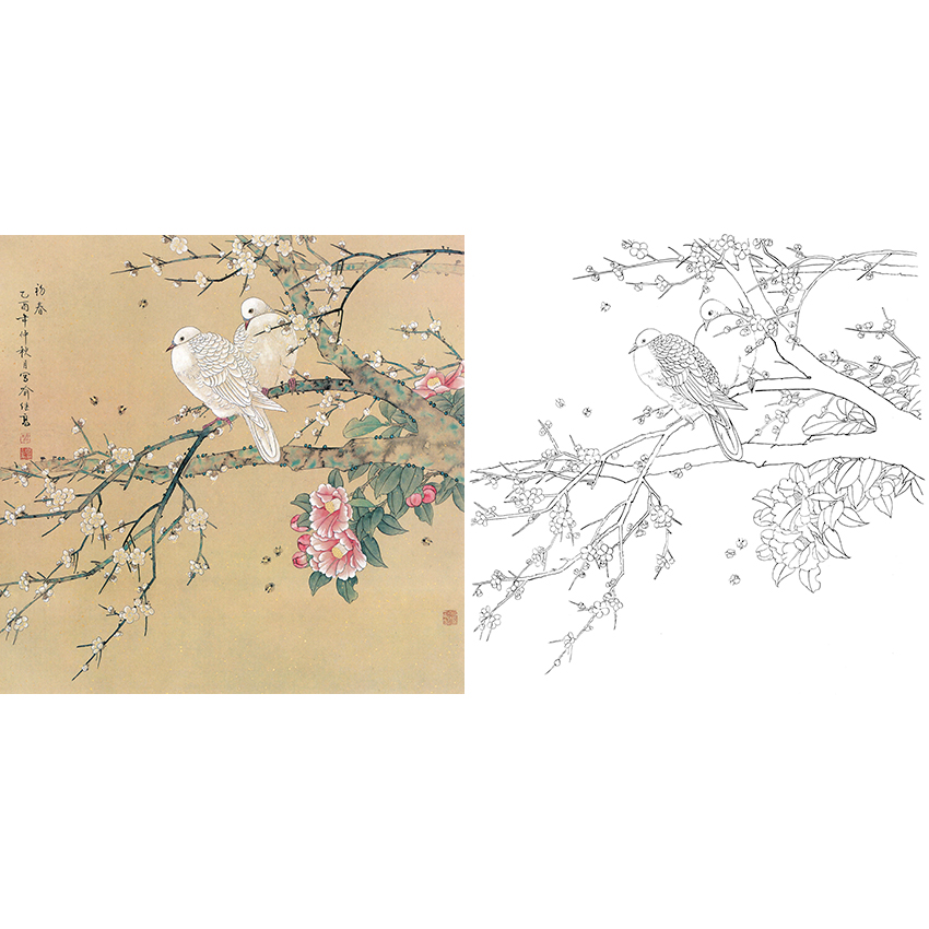 白描底稿-工笔花鸟-a499