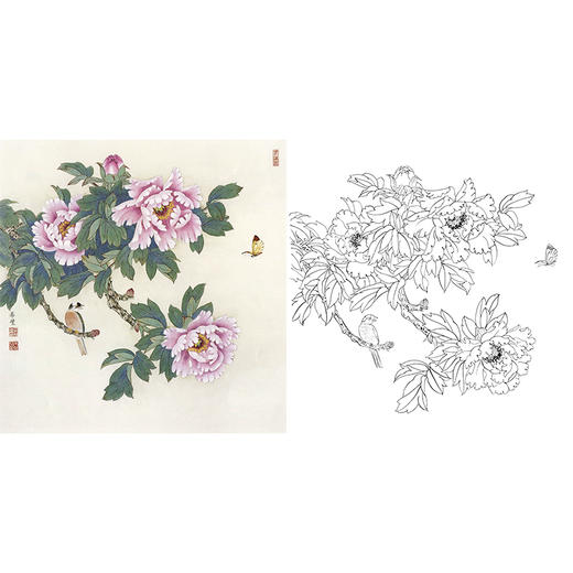 工笔花鸟白描底稿-田希丰牡丹-斗方小品册页-A435 商品图0