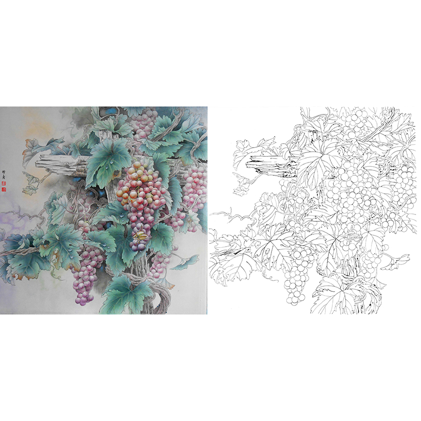 斗方小品白描底稿-孙锡之工笔花鸟-葡萄-a446