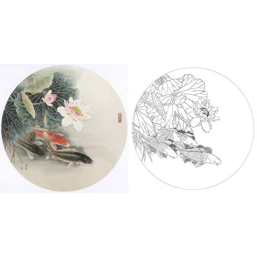 工笔花鸟白描底稿-路雨年-荷花鲤鱼-斗方小品册页-A425 商品图0