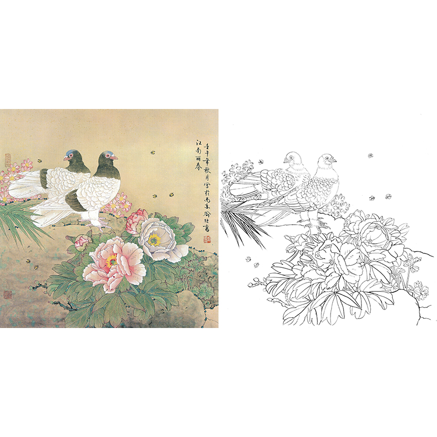 斗方小品白描底稿-喻继高工笔花鸟-鸽子牡丹-a492