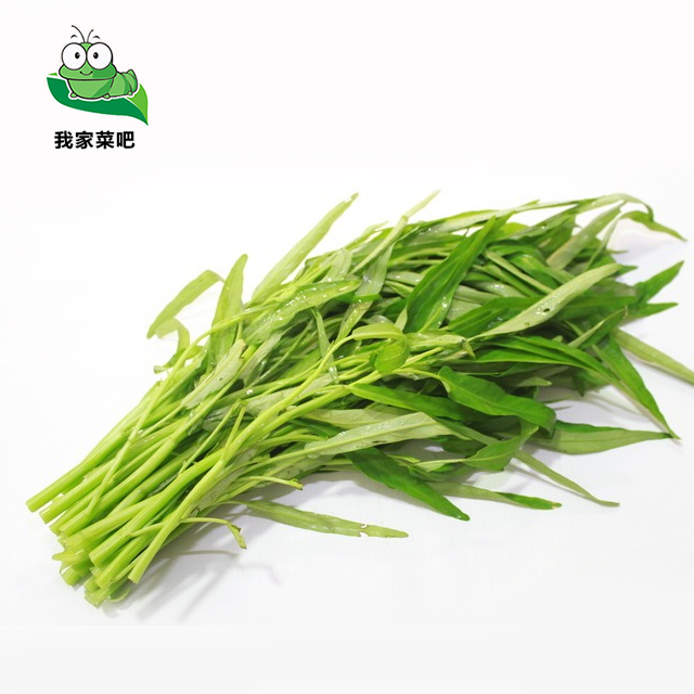 空心菜