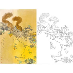 竖幅工笔花鸟白描底稿-邹传安-松鼠-A540