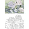 横幅工笔花鸟白描底稿-张克齐-绣球花-A515 商品缩略图0