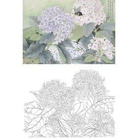 横幅工笔花鸟白描底稿-张克齐-绣球花-A515