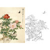 工笔花鸟白描底稿-牡丹蝴蝶-斗方小品册页-A544 商品缩略图0