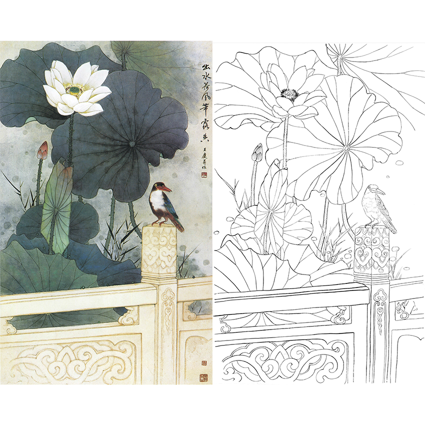 白描底稿-工笔花鸟-荷花-a538