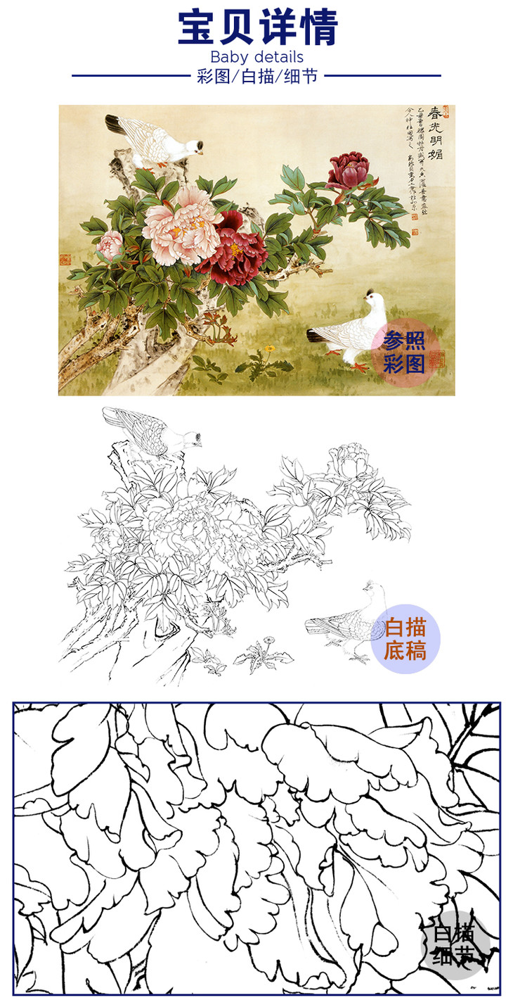 工笔花鸟白描底稿俞致贞牡丹鸽子春光明媚斗方小品册页多种白描尺寸可