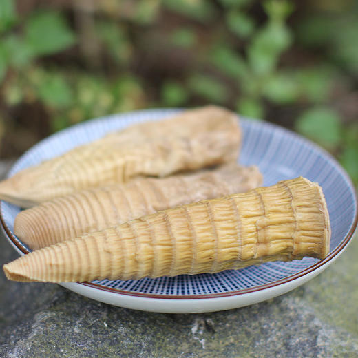【特产食材】精选寿宁野生笋干 真正野味 500g 商品图0
