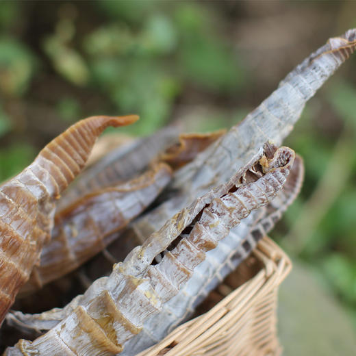 【特产食材】精选寿宁野生笋干 真正野味 500g 商品图1