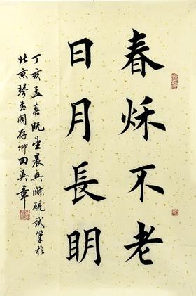 当代名家 田英章 书法 楷书作品 真迹 字画书画手写 装饰收藏118