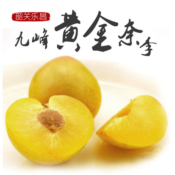 精选顶级九峰黄金奈李(限广东省内购买包邮)