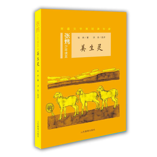 美生灵 张炜少年读本丛书 茅盾文学奖获奖作家 商品图0