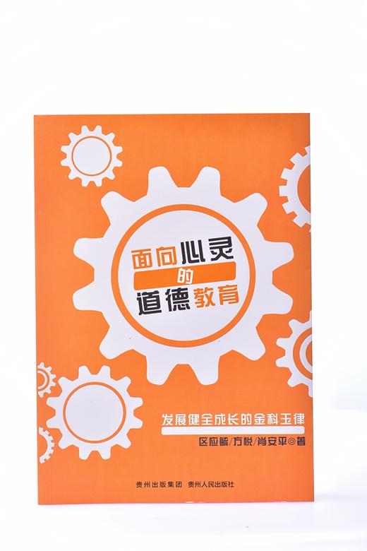 面向心灵的道德教育：发展健全成长的金科玉律 平装 商品图2