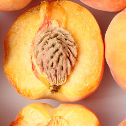 黄桃种植专业合作社200508