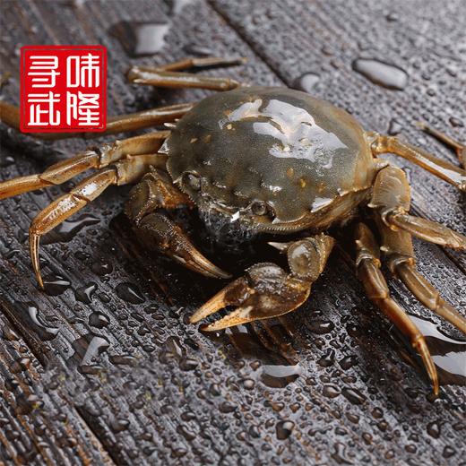 【限购】大闸蟹1.8-2两母单只秒杀  限武隆城区自提不包邮 自提地址：江北黄金水岸水淼公司 商品图0