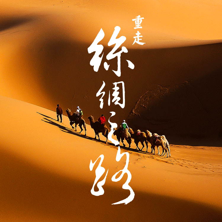 青海敦煌9天8晚定制游