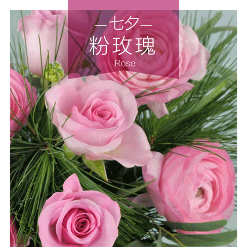 11支 红玫瑰 or 粉玫瑰(七夕的花)