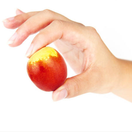 沾化新农冬枣种植专业合作社200509