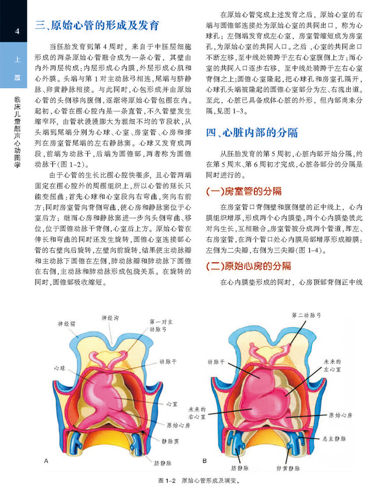 临床儿童及胎儿超声心动图学-2016年国家出版基金项目-包邮