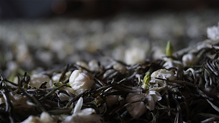 上海→横县窨花又称窨制花茶,是将茶坯和鲜花均匀拌和以及堆放组成的