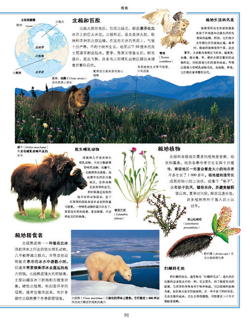 DK儿童自然大百科（5-18岁）-分销 商品图2