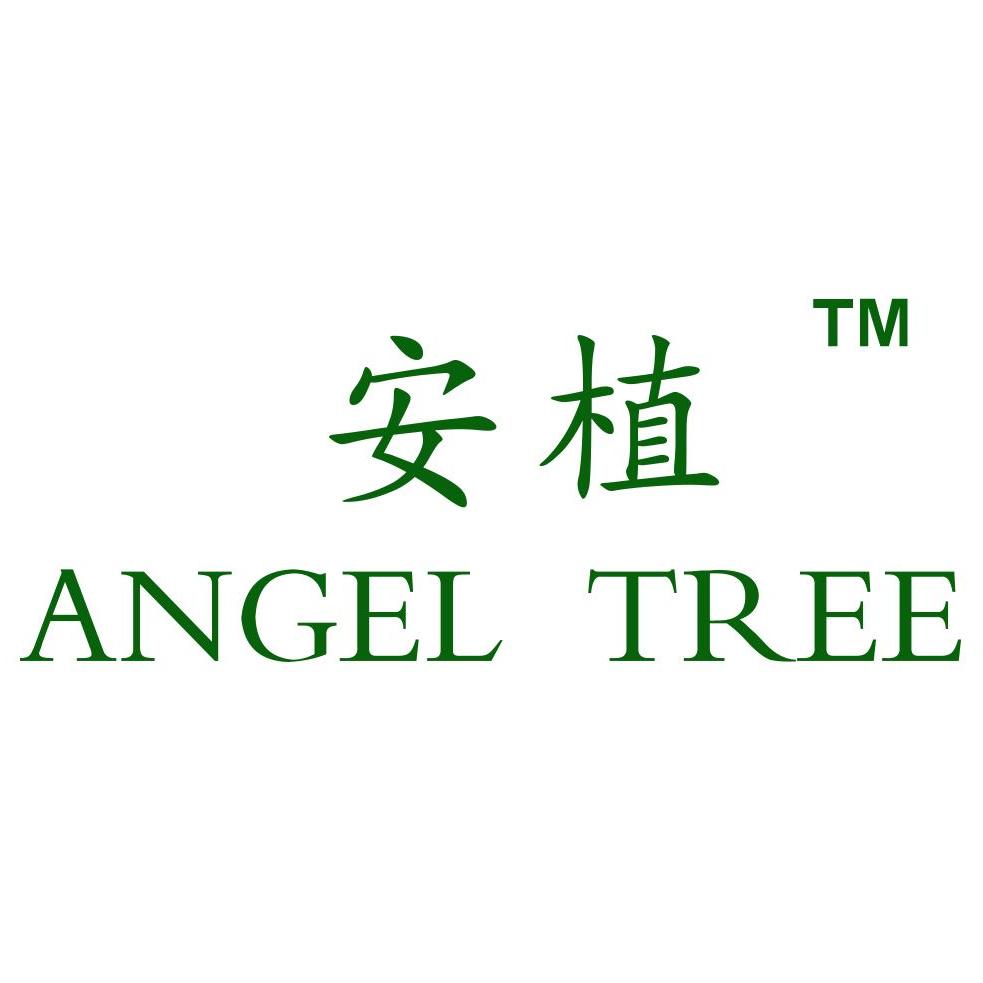 安植水记忆旗舰店170311