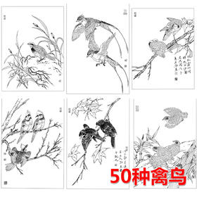 50幅禽鸟白描合集--无彩图-整套出售-DB13