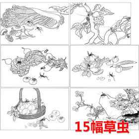 15幅草虫白描合集-无彩图-整套出售-DB51