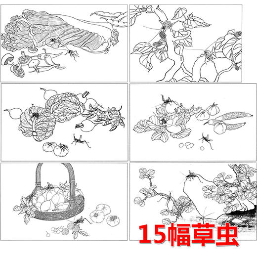 15幅草虫白描合集-无彩图-整套出售-DB51 商品图0